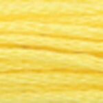 4635000 Мулине Anchor "Stranded Cotton", MEZ, Венгрия (00289)