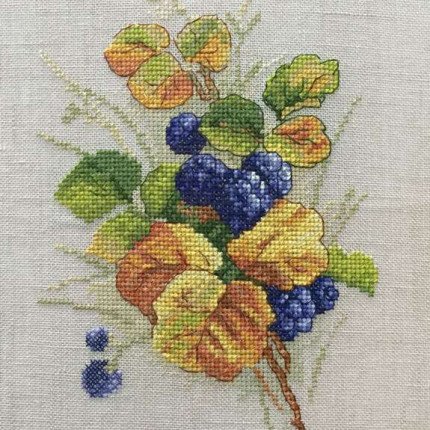 04.009.08 Набор для вышивания "Ежевика" по рисунку К. Кляйн