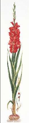 3073 Набор для вышивания "Красный гладиолус", канва лён 36 ct