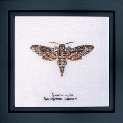 564 Набор для вышивания "Сфинкс-мотылёк", канва лён 32 ct