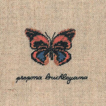 3629 Набор для вышивания:"PAPILLON PREPONA BUCKLEYANA" (Бабочка PREPONA BUCKLEYANA)